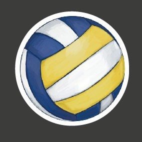 Producto - Voley, pelota 46