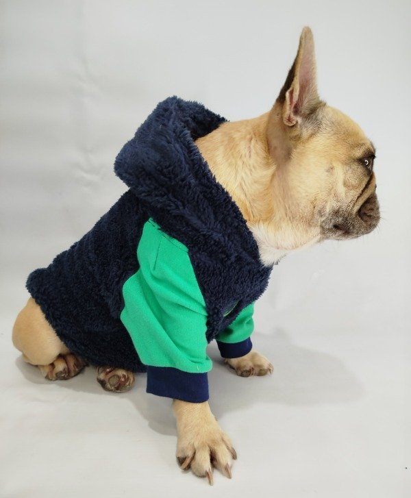 Producto - Hoodie Mint
