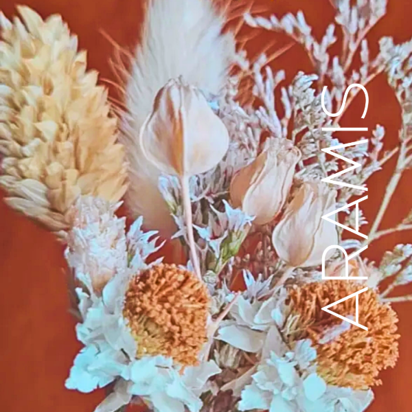 Producto - Mini Bouquets - Estilo Cottagecore x20