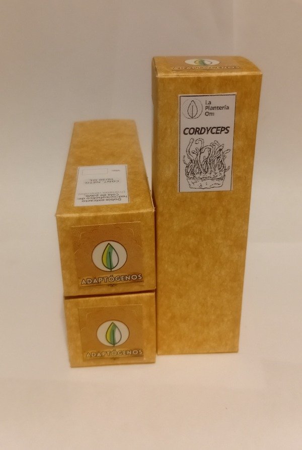 Producto - CORDYCEPS