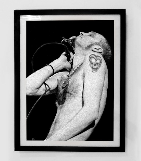 Producto - ALICE IN CHAINS (Nro 24)