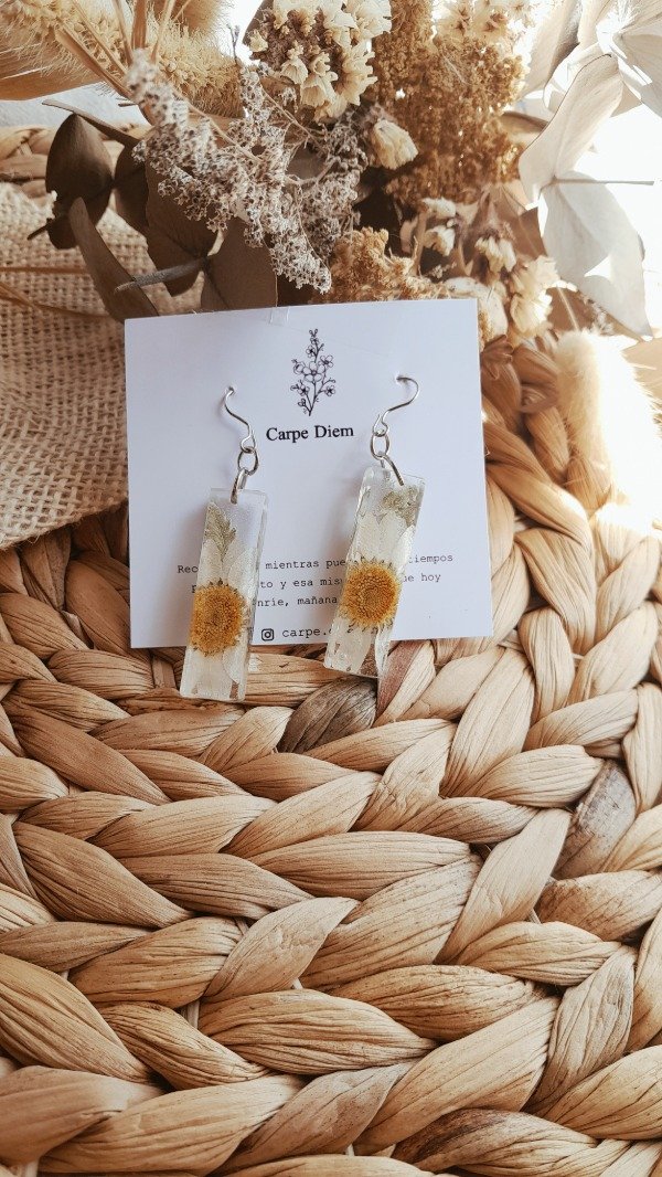 Producto - Aros Berenice