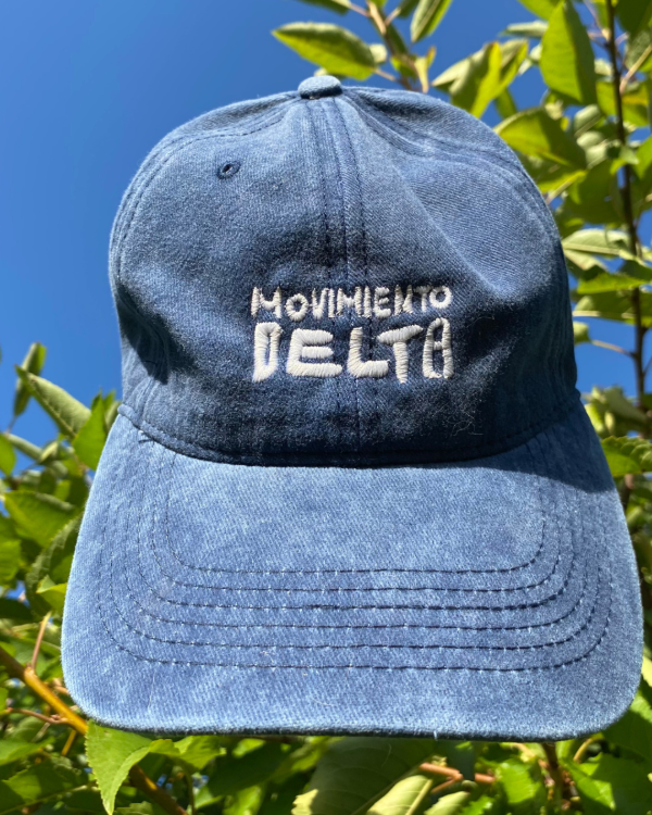 Producto - POLO VINTAGE - MOVIMIENTO DELTA