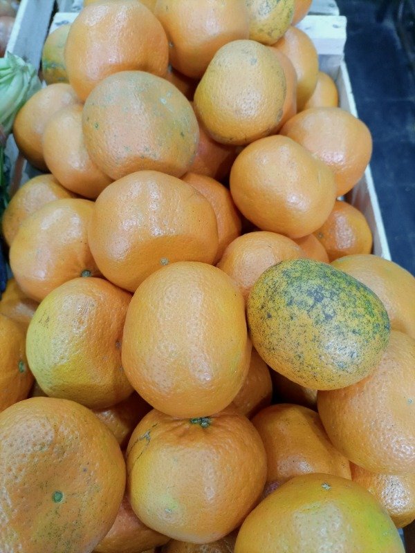 Producto - OFERTA!! Mandarina agro 2kg