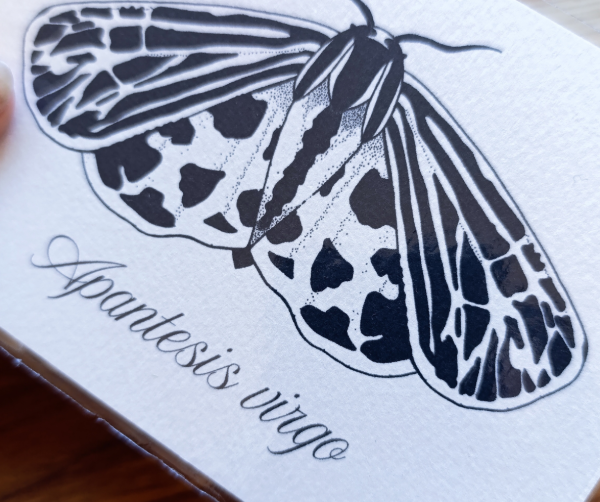 Producto - Ilustración Apantesis Virgo - 1
