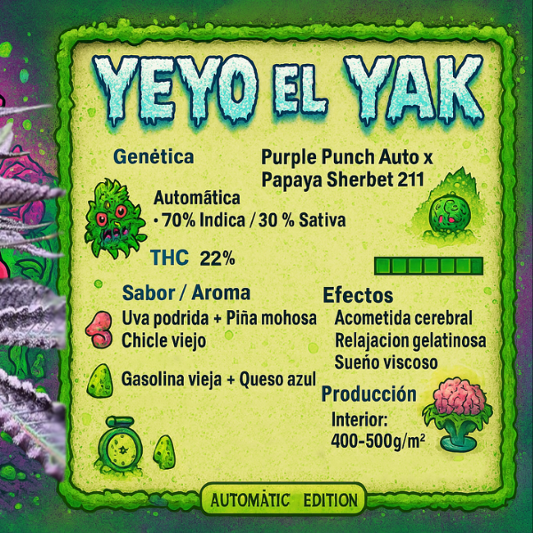 Producto - SEMILLA STICKY FINGERS YEYO EL YAK