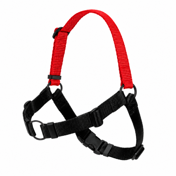 Producto - ARNES ANTI - TIRONES / Large - 0