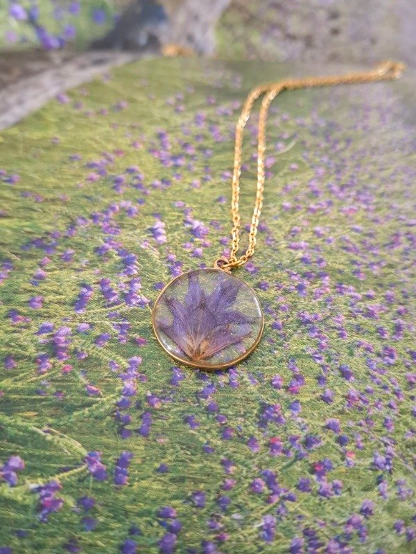 Producto - lavanda de oro