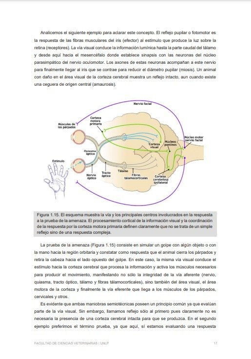 Producto - Zuccolilli: Neuroanatomía y Neurofisiología Animal - 8