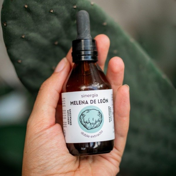 Producto - MELENA DE LEÓN - Doble Extracto