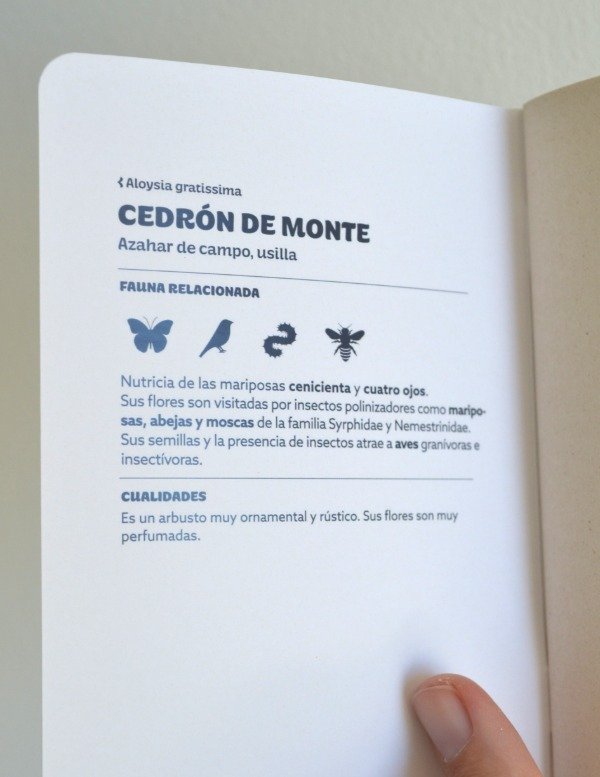 Producto - Libreta Cedrón de Monte - 1
