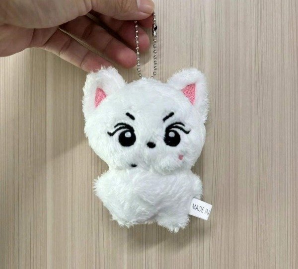 Producto - Llavero Enhypen Jungwon
