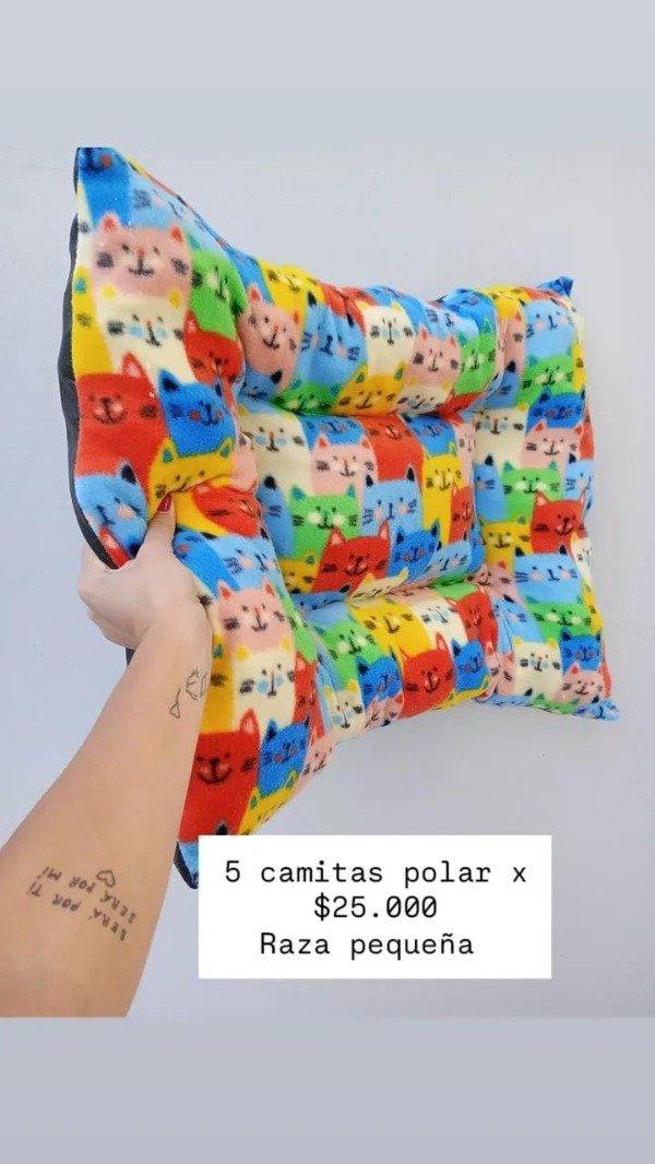 Producto - 5 polares peque