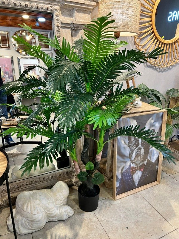 Producto - Palmera 120x80cm