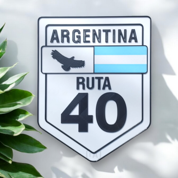 Producto - Cuadro Ruta 40 Aguila - 1