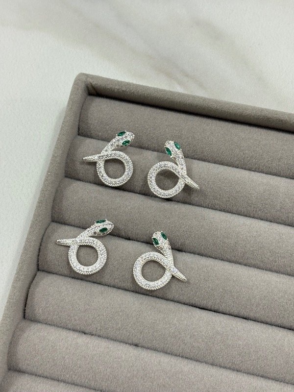 Producto - aros snake