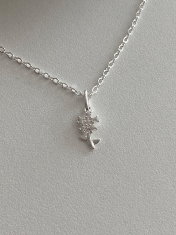 Producto - Conjunto Isis