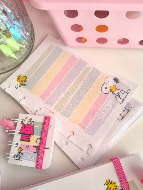 Producto - Reserva - Box Snoopy Pastel - Cuaderno discos - 5