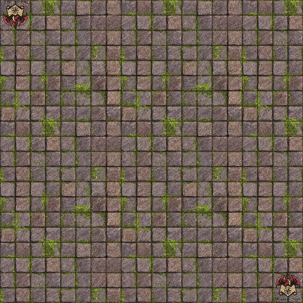 Producto - Dungeon 6