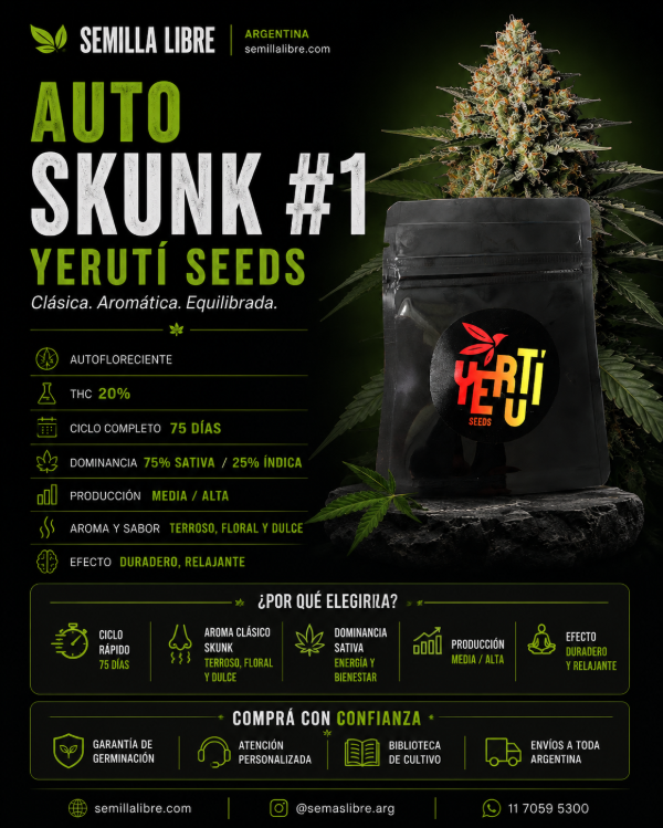 Producto - AUTO SKUNK #1 - YERUTÍ SEEDS. Pack 4 semillas - 1