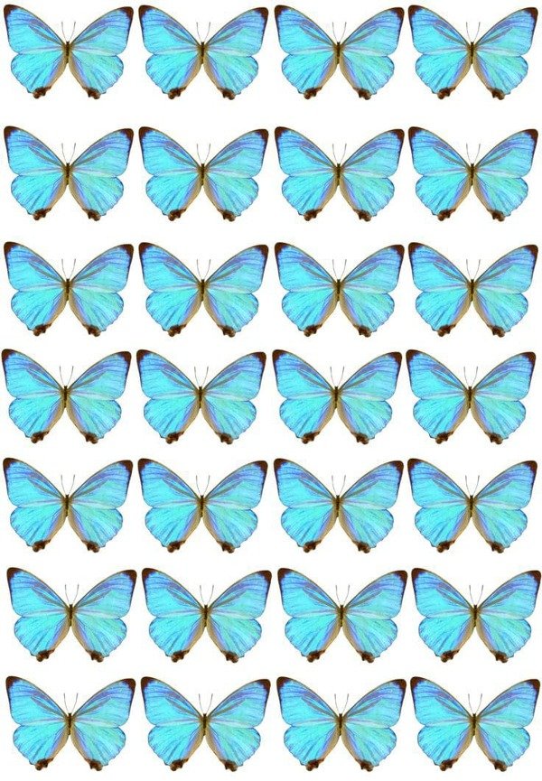 Producto - LAMINAS COMESTIBLES MARIPOSAS CELESTES