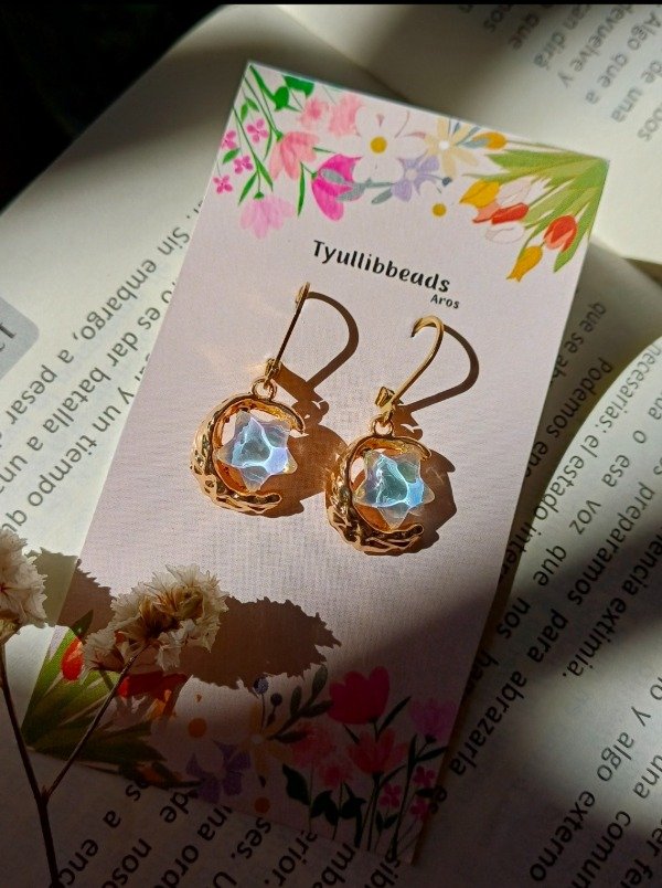 Producto - Aros ine