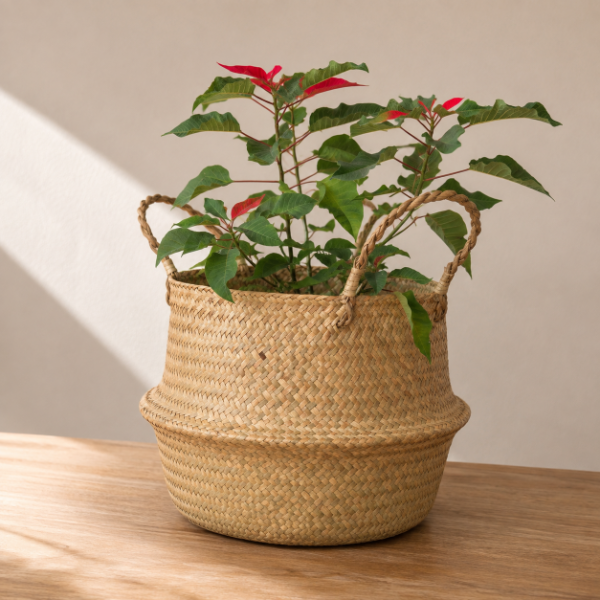 Producto - Canasto Contenedor - 1