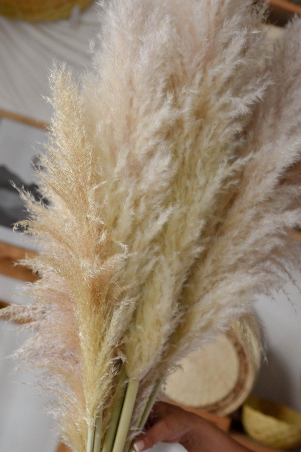 VARA PAMPA GRASS INVERSA