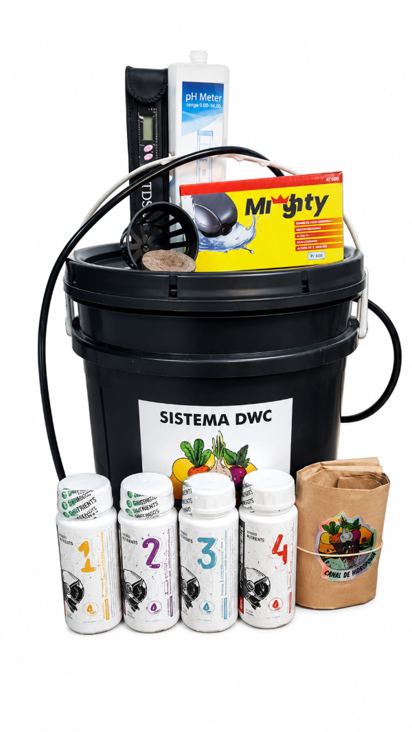 Producto - Kit DWC Inicial 10 Litros (150ml)