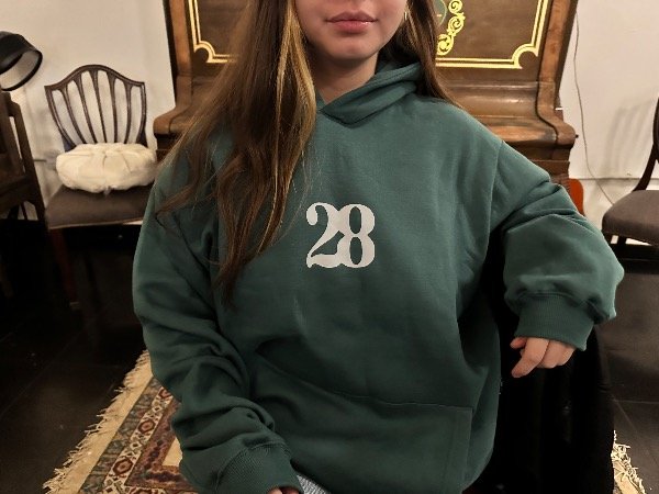 Producto - 28 - Hoodie - 0