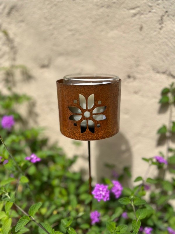 Producto - Fanal tutor