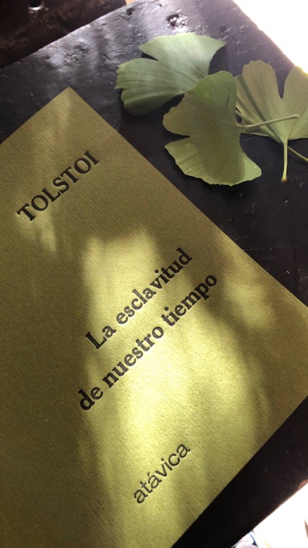 Miniatura de producto - 7