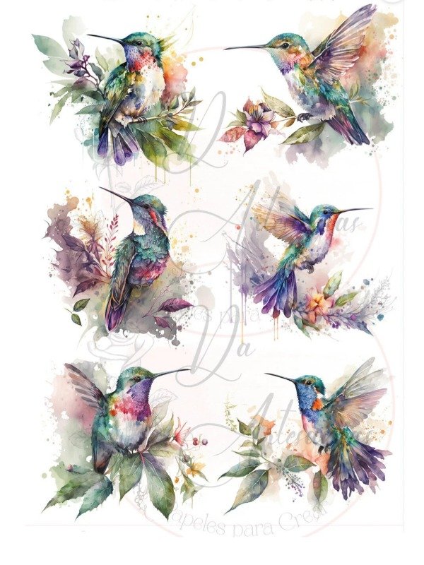Producto - COLIBRÍ