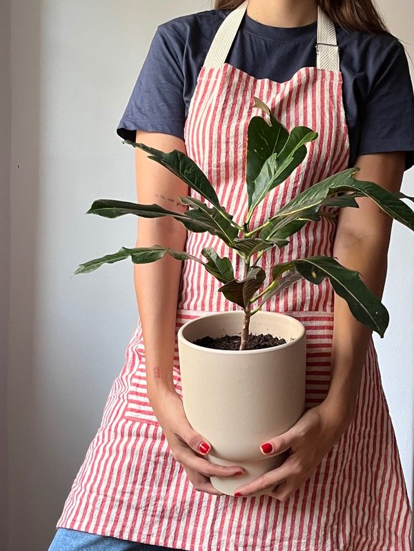 Producto - Delantal Frida con pechera a rayas