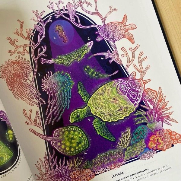 Miniatura de producto - 6