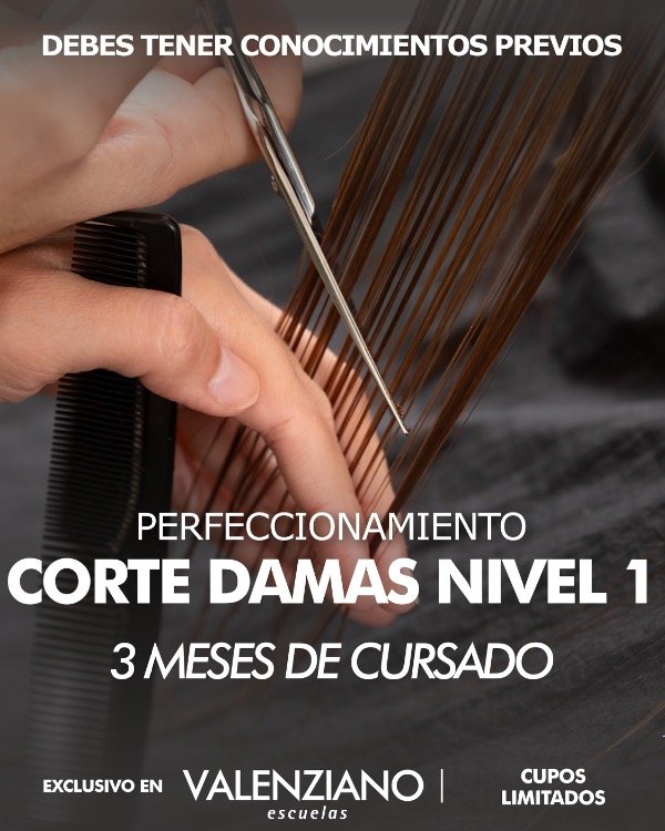 Producto - Corte Dama Nivel 1 - Perfeccionamiento