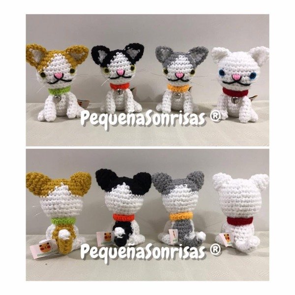 Producto - Gatos - 6