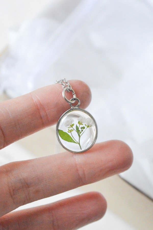 Producto - Bosque Alisos Blancos II