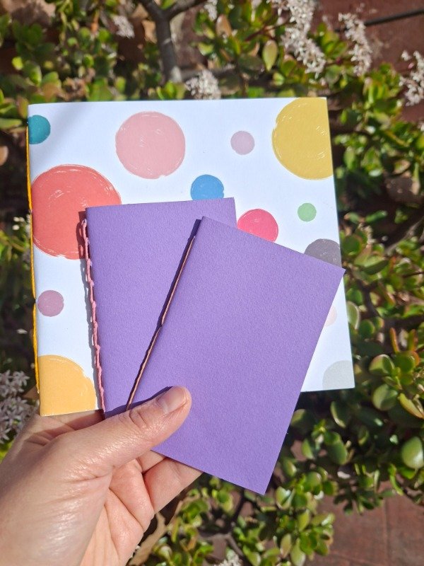 Producto - Pack 3 libretas - Tapas de papel - hojas lisas y rayadas
