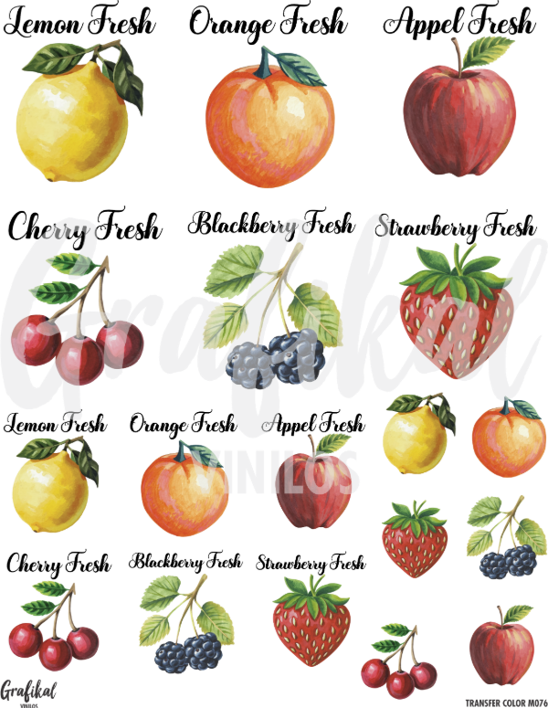 Producto - TransferColor 20x25 076