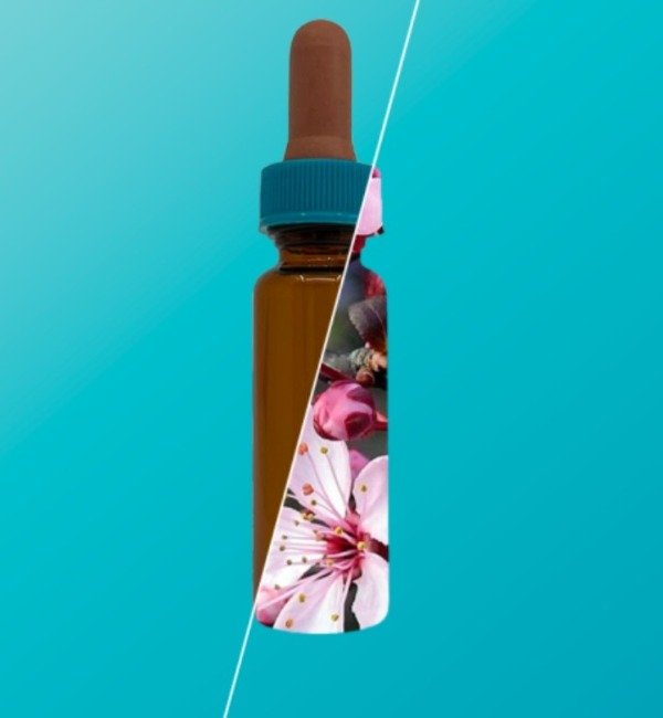 Producto - Tintura Madre de Milenrama