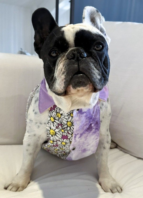 Producto - CAMISA VESTIDO MARGA