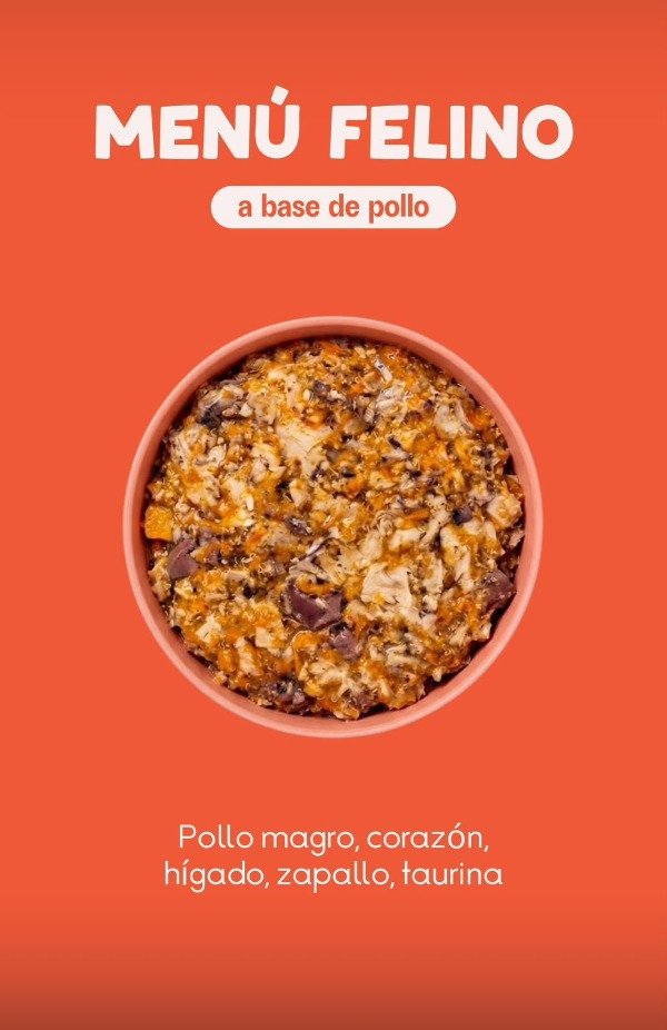 Producto - Menú de pollo para gato 500gr - 0