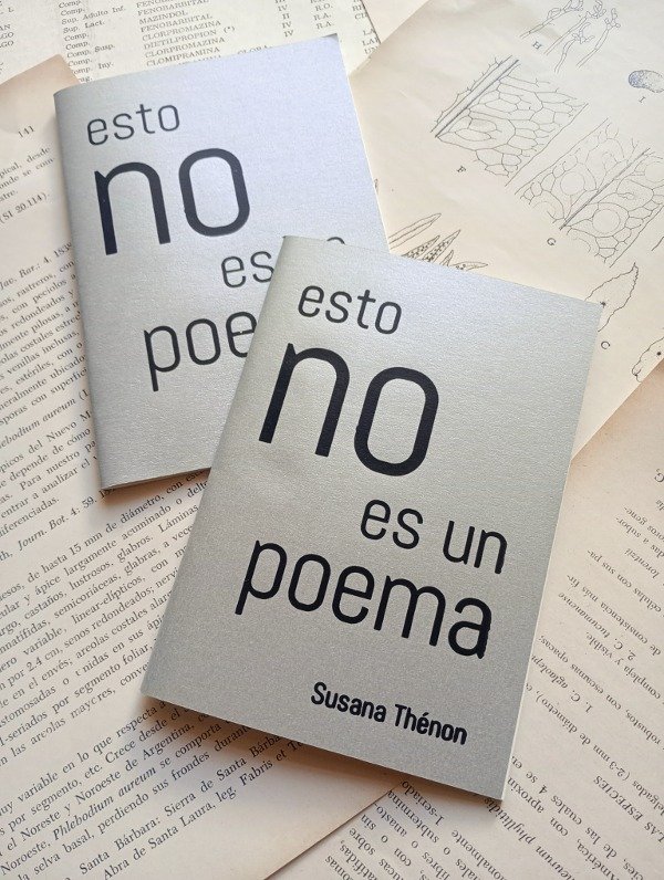 Producto - esto no es un poema de Susana Thénon