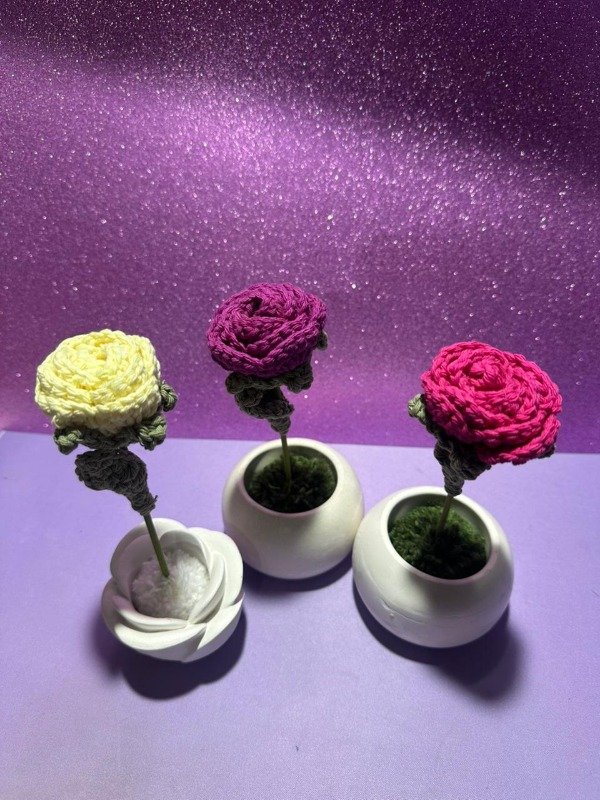 Producto - Rosita