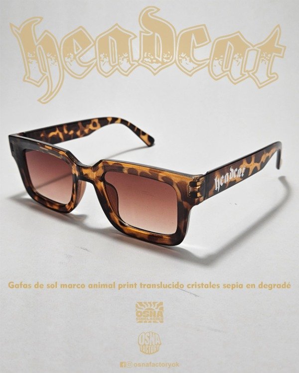 Producto - HEADCAT Sunglasses