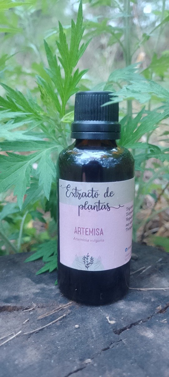 Producto - Tintura Madre de Artemisa