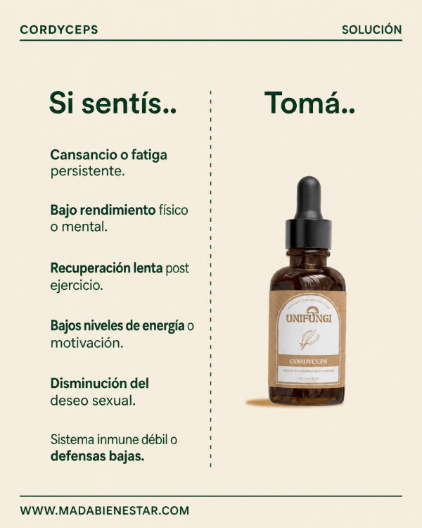 Producto - CORDYCEPS - 2