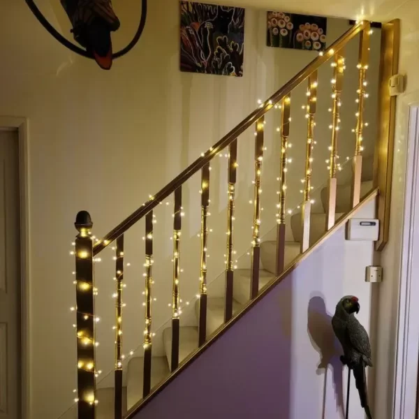 Miniatura de producto - 5