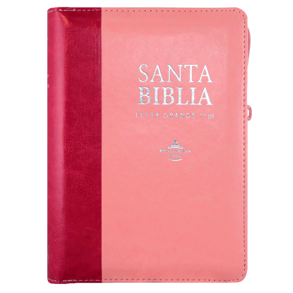 Producto - Biblia Reina Valera 1960 Mediana Letra Grande DuoTono Rosa Fucsia
